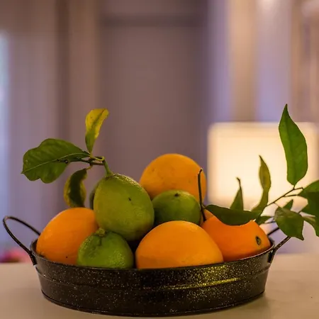 Regalo Apartment